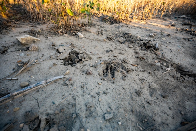 00 Lawrenceville, GARDEN PRAIRIE, Illinois 61038, ,Land,For Sale,Lawrenceville,202507466