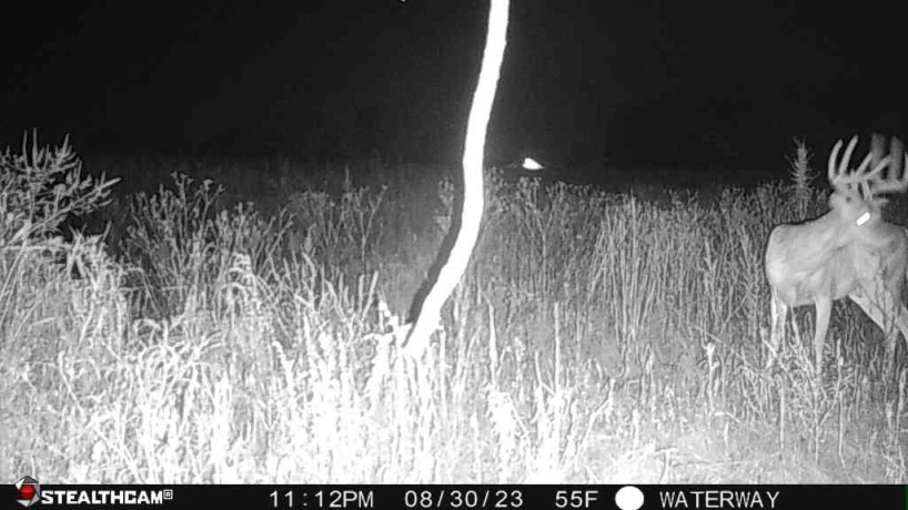 00 Lawrenceville, GARDEN PRAIRIE, Illinois 61038, ,Land,For Sale,Lawrenceville,202507466