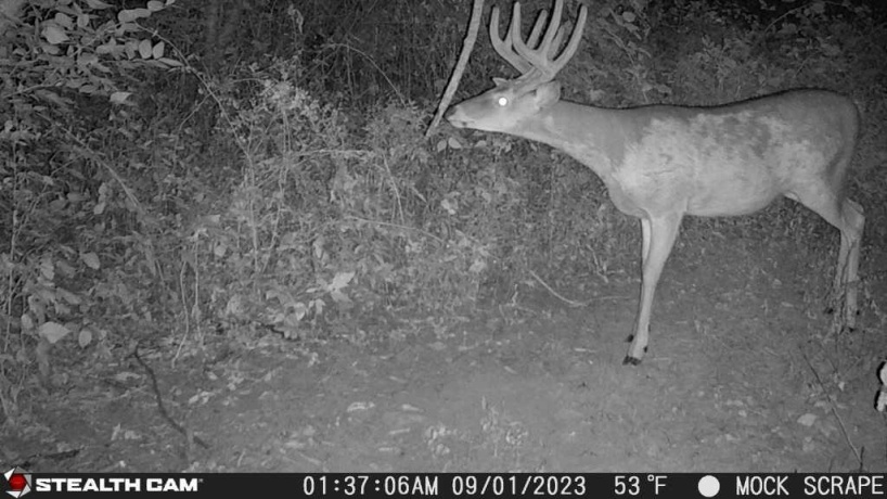 00 Lawrenceville, GARDEN PRAIRIE, Illinois 61038, ,Land,For Sale,Lawrenceville,202507466