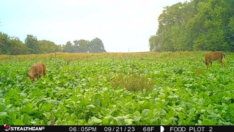 00 Lawrenceville, GARDEN PRAIRIE, Illinois 61038, ,Land,For Sale,Lawrenceville,202507466