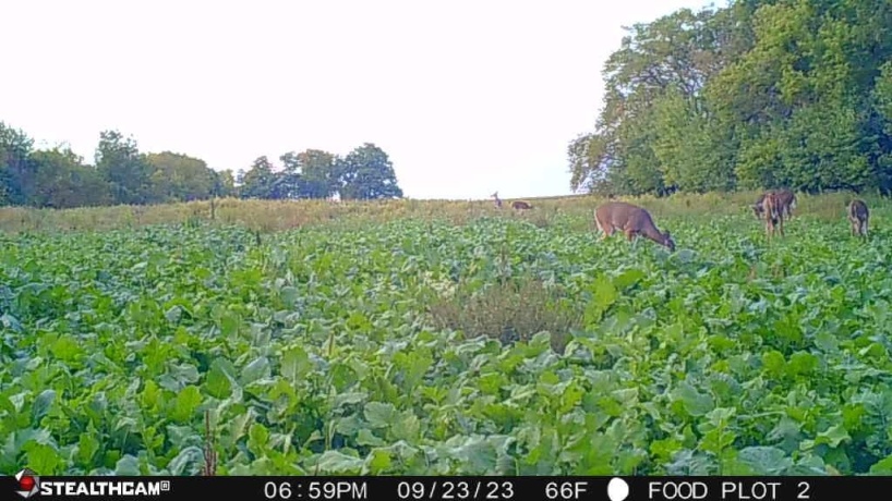 00 Lawrenceville, GARDEN PRAIRIE, Illinois 61038, ,Land,For Sale,Lawrenceville,202507466