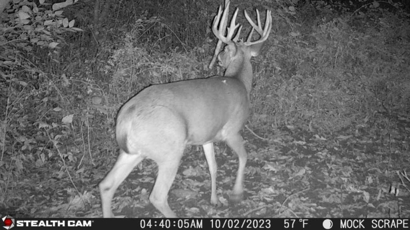 00 Lawrenceville, GARDEN PRAIRIE, Illinois 61038, ,Land,For Sale,Lawrenceville,202507466