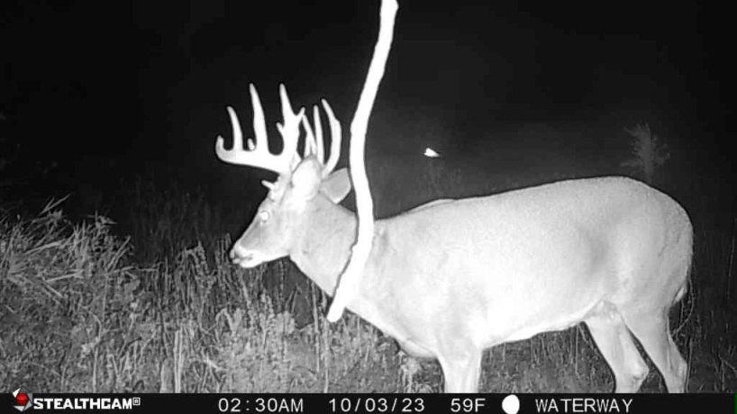 00 Lawrenceville, GARDEN PRAIRIE, Illinois 61038, ,Land,For Sale,Lawrenceville,202507466