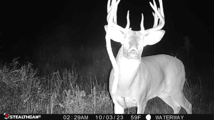 00 Lawrenceville, GARDEN PRAIRIE, Illinois 61038, ,Land,For Sale,Lawrenceville,202507466