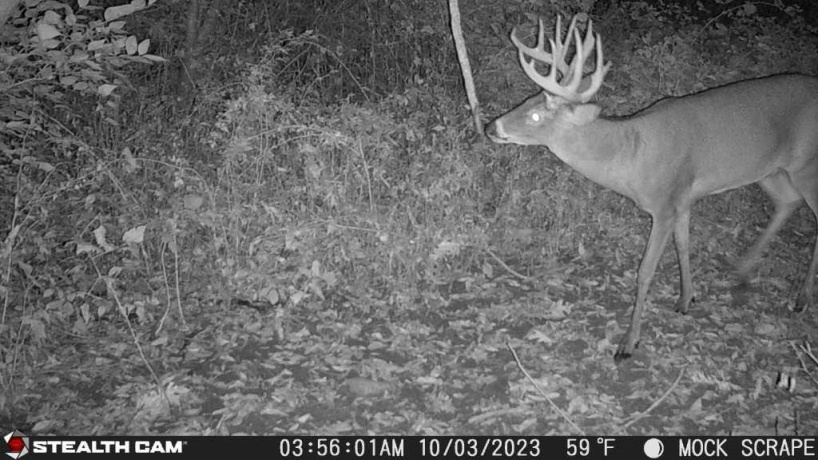 00 Lawrenceville, GARDEN PRAIRIE, Illinois 61038, ,Land,For Sale,Lawrenceville,202507466