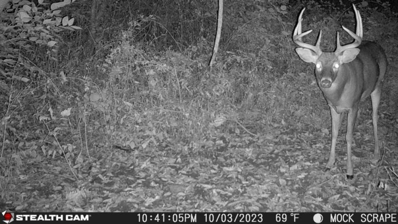 00 Lawrenceville, GARDEN PRAIRIE, Illinois 61038, ,Land,For Sale,Lawrenceville,202507466