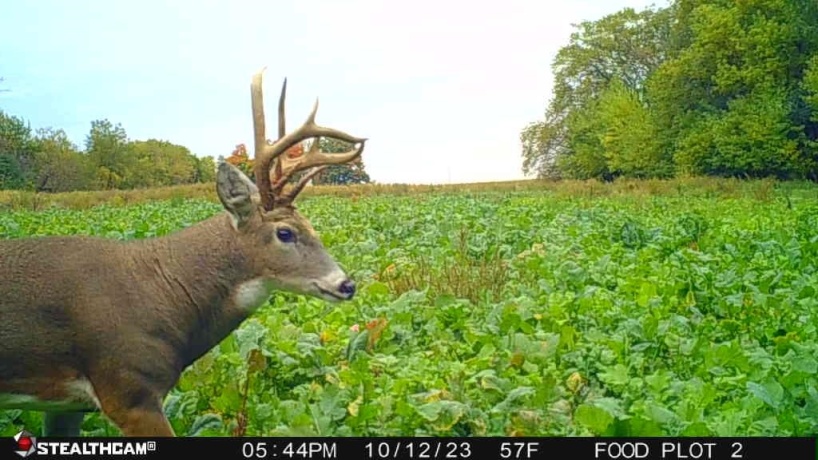 00 Lawrenceville, GARDEN PRAIRIE, Illinois 61038, ,Land,For Sale,Lawrenceville,202507466