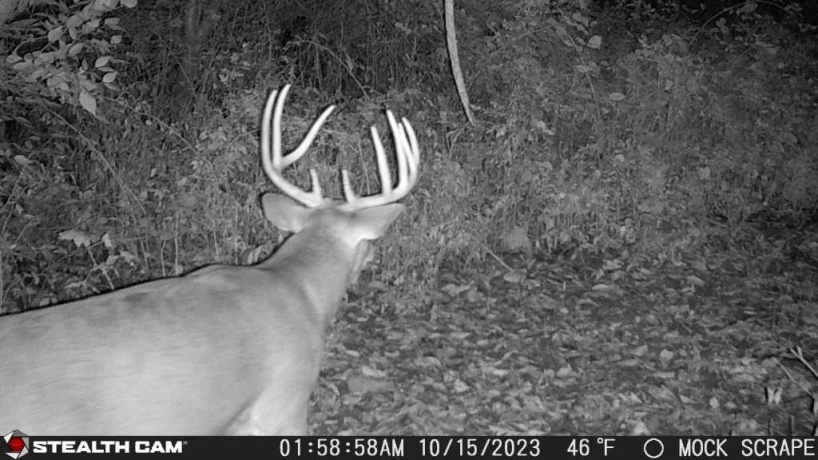 00 Lawrenceville, GARDEN PRAIRIE, Illinois 61038, ,Land,For Sale,Lawrenceville,202507466