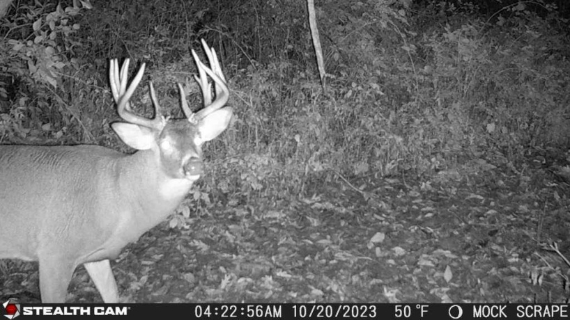 00 Lawrenceville, GARDEN PRAIRIE, Illinois 61038, ,Land,For Sale,Lawrenceville,202507466