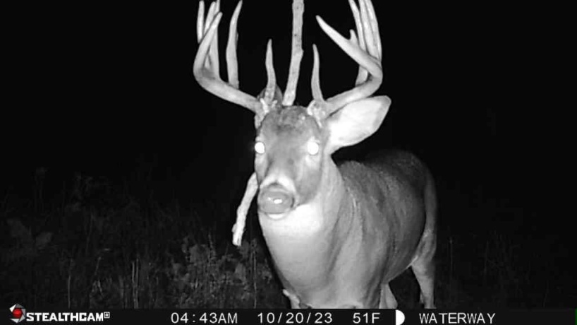 00 Lawrenceville, GARDEN PRAIRIE, Illinois 61038, ,Land,For Sale,Lawrenceville,202507466