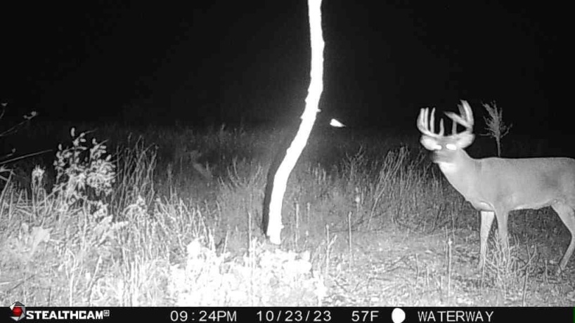 00 Lawrenceville, GARDEN PRAIRIE, Illinois 61038, ,Land,For Sale,Lawrenceville,202507466