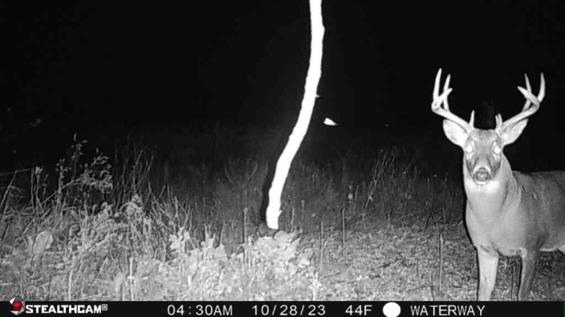 00 Lawrenceville, GARDEN PRAIRIE, Illinois 61038, ,Land,For Sale,Lawrenceville,202507466