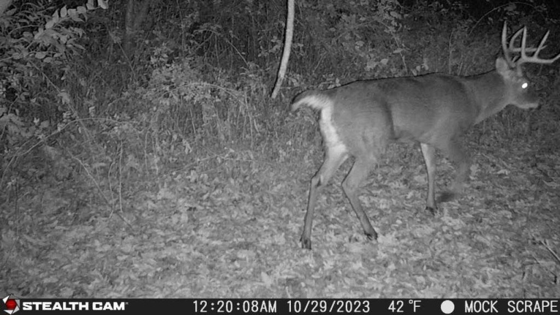 00 Lawrenceville, GARDEN PRAIRIE, Illinois 61038, ,Land,For Sale,Lawrenceville,202507466