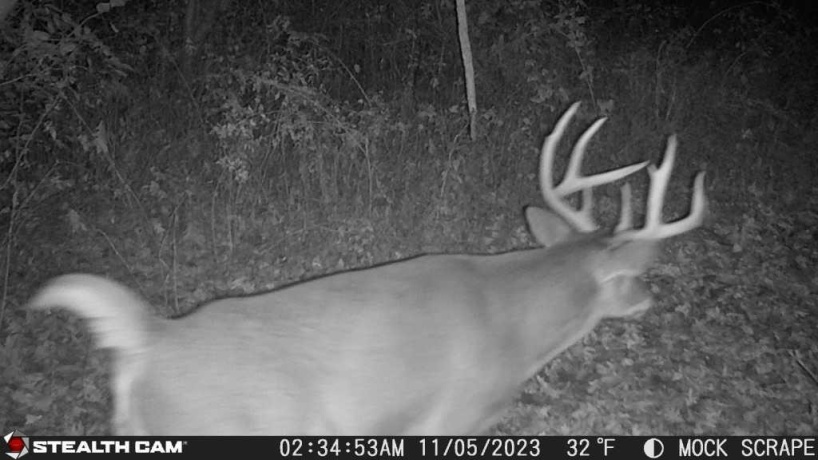 00 Lawrenceville, GARDEN PRAIRIE, Illinois 61038, ,Land,For Sale,Lawrenceville,202507466