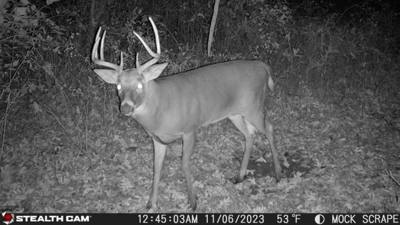 00 Lawrenceville, GARDEN PRAIRIE, Illinois 61038, ,Land,For Sale,Lawrenceville,202507466