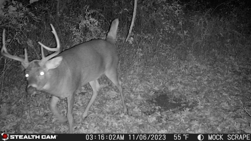 00 Lawrenceville, GARDEN PRAIRIE, Illinois 61038, ,Land,For Sale,Lawrenceville,202507466