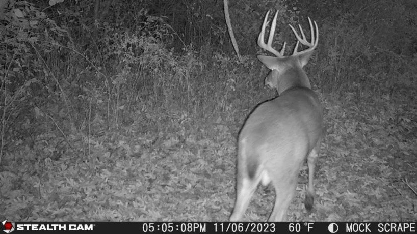 00 Lawrenceville, GARDEN PRAIRIE, Illinois 61038, ,Land,For Sale,Lawrenceville,202507466