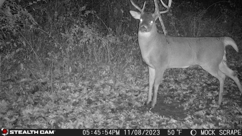 00 Lawrenceville, GARDEN PRAIRIE, Illinois 61038, ,Land,For Sale,Lawrenceville,202507466