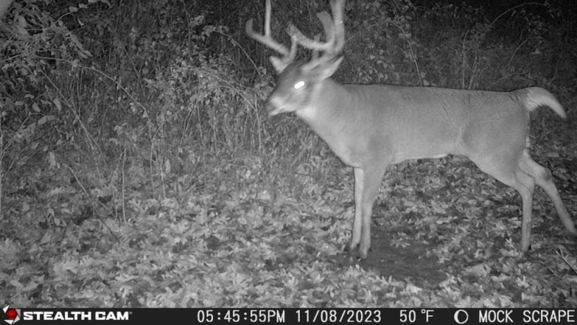 00 Lawrenceville, GARDEN PRAIRIE, Illinois 61038, ,Land,For Sale,Lawrenceville,202507466