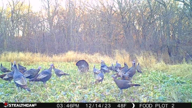 00 Lawrenceville, GARDEN PRAIRIE, Illinois 61038, ,Land,For Sale,Lawrenceville,202507466