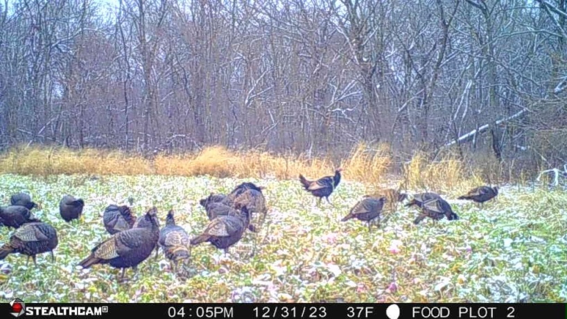 00 Lawrenceville, GARDEN PRAIRIE, Illinois 61038, ,Land,For Sale,Lawrenceville,202507466