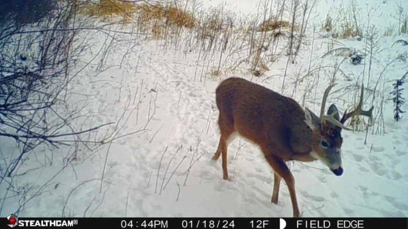 00 Lawrenceville, GARDEN PRAIRIE, Illinois 61038, ,Land,For Sale,Lawrenceville,202507466