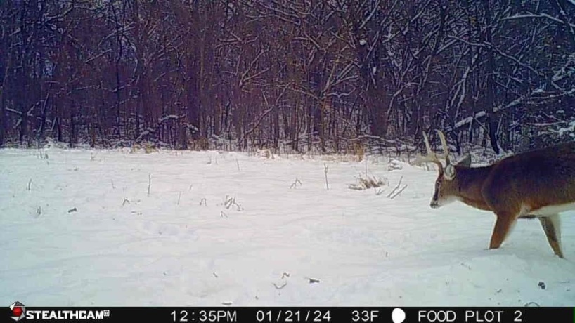 00 Lawrenceville, GARDEN PRAIRIE, Illinois 61038, ,Land,For Sale,Lawrenceville,202507466