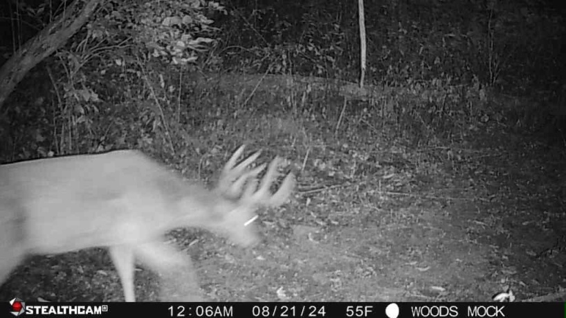 00 Lawrenceville, GARDEN PRAIRIE, Illinois 61038, ,Land,For Sale,Lawrenceville,202507466