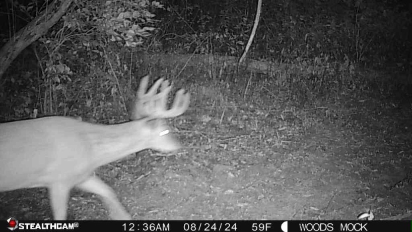 00 Lawrenceville, GARDEN PRAIRIE, Illinois 61038, ,Land,For Sale,Lawrenceville,202507466