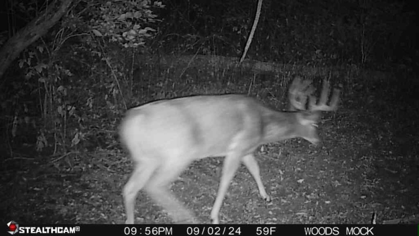 00 Lawrenceville, GARDEN PRAIRIE, Illinois 61038, ,Land,For Sale,Lawrenceville,202507466