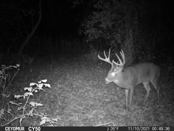 00 Lawrenceville, GARDEN PRAIRIE, Illinois 61038, ,Land,For Sale,Lawrenceville,202507466