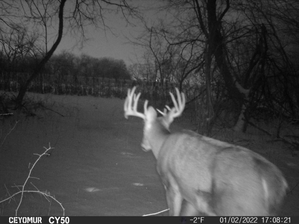 00 Lawrenceville, GARDEN PRAIRIE, Illinois 61038, ,Land,For Sale,Lawrenceville,202507466