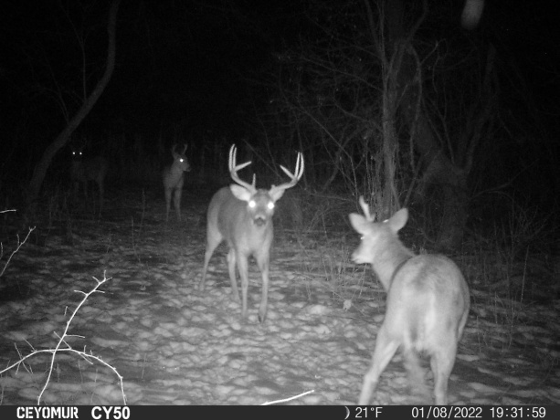 00 Lawrenceville, GARDEN PRAIRIE, Illinois 61038, ,Land,For Sale,Lawrenceville,202507466