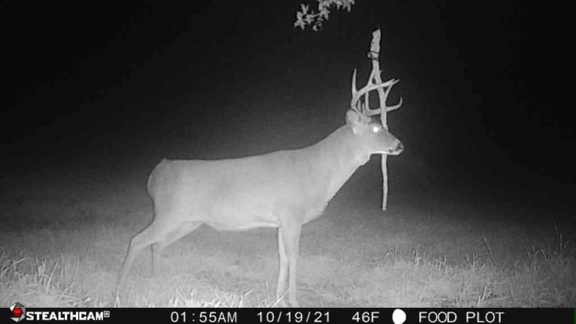 00 Lawrenceville, GARDEN PRAIRIE, Illinois 61038, ,Land,For Sale,Lawrenceville,202507466