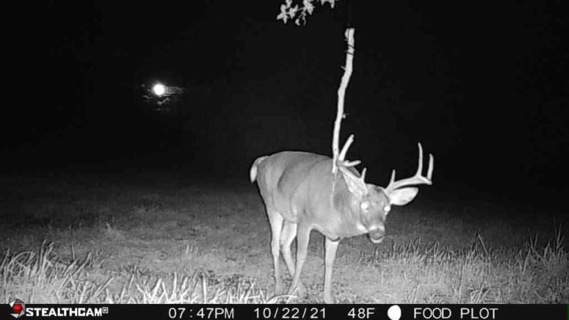 00 Lawrenceville, GARDEN PRAIRIE, Illinois 61038, ,Land,For Sale,Lawrenceville,202507466