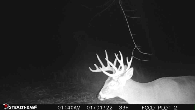 00 Lawrenceville, GARDEN PRAIRIE, Illinois 61038, ,Land,For Sale,Lawrenceville,202507466