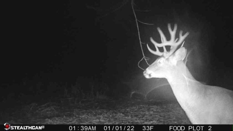 00 Lawrenceville, GARDEN PRAIRIE, Illinois 61038, ,Land,For Sale,Lawrenceville,202507466