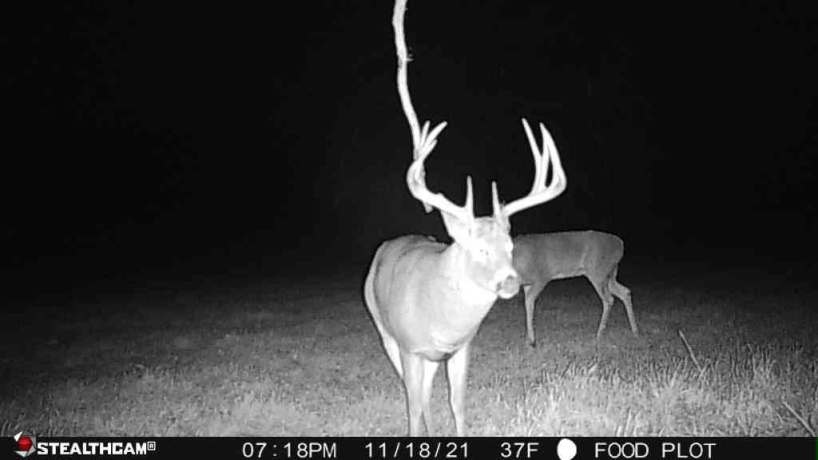 00 Lawrenceville, GARDEN PRAIRIE, Illinois 61038, ,Land,For Sale,Lawrenceville,202507466