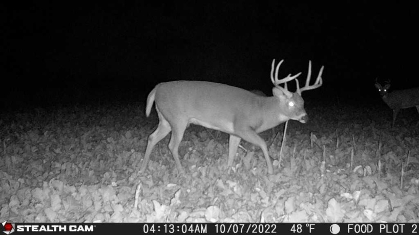 00 Lawrenceville, GARDEN PRAIRIE, Illinois 61038, ,Land,For Sale,Lawrenceville,202507466