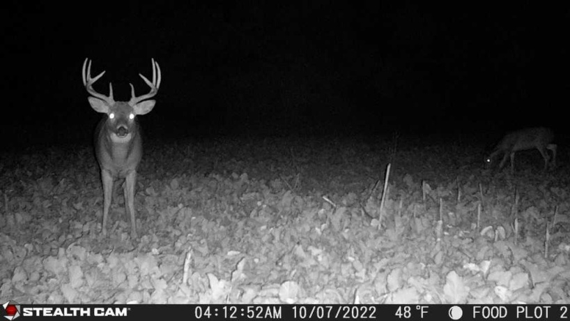 00 Lawrenceville, GARDEN PRAIRIE, Illinois 61038, ,Land,For Sale,Lawrenceville,202507466