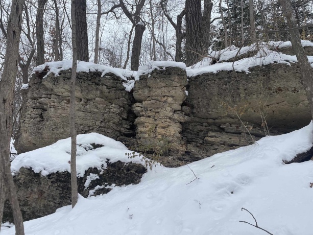 TBD Chestnut Mountain, HANOVER, Illinois 61041, ,Land,For Sale,Chestnut Mountain,202507482