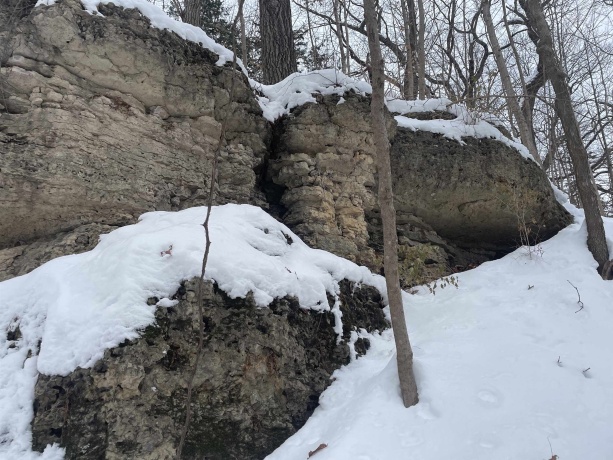 TBD Chestnut Mountain, HANOVER, Illinois 61041, ,Land,For Sale,Chestnut Mountain,202507482