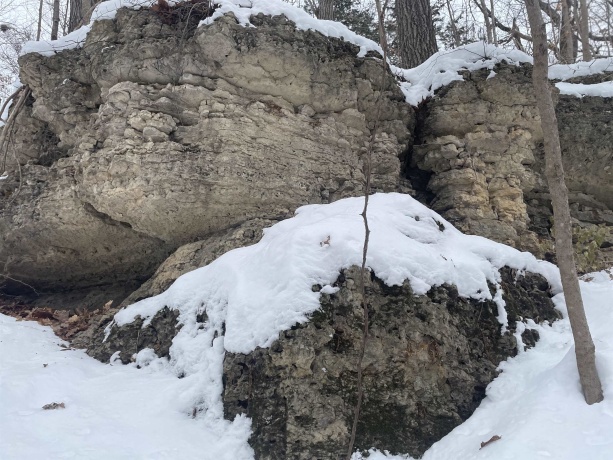 TBD Chestnut Mountain, HANOVER, Illinois 61041, ,Land,For Sale,Chestnut Mountain,202507482