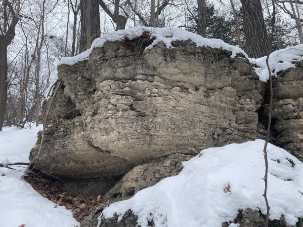 TBD Chestnut Mountain, HANOVER, Illinois 61041, ,Land,For Sale,Chestnut Mountain,202507482