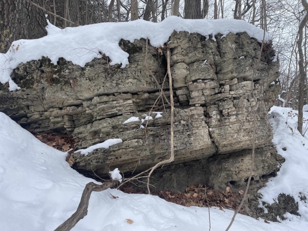 TBD Chestnut Mountain, HANOVER, Illinois 61041, ,Land,For Sale,Chestnut Mountain,202507482