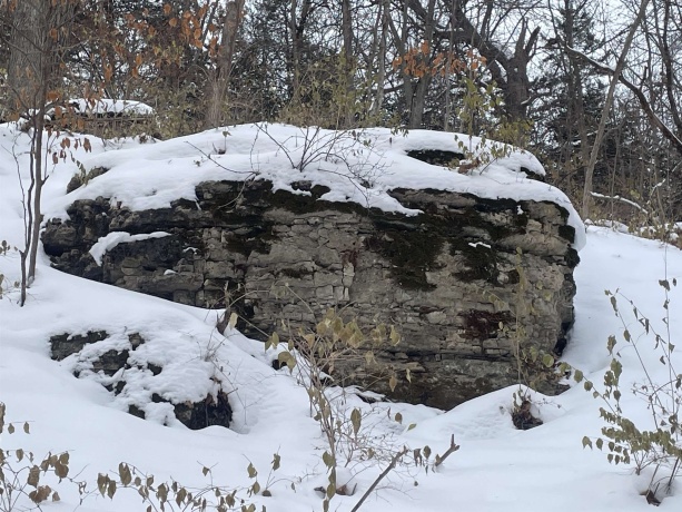 TBD Chestnut Mountain, HANOVER, Illinois 61041, ,Land,For Sale,Chestnut Mountain,202507482