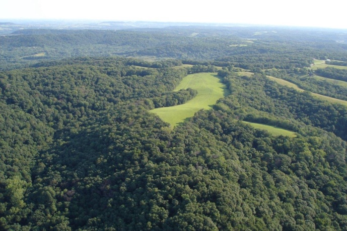 TBD Chestnut Mountain, HANOVER, Illinois 61041, ,Land,For Sale,Chestnut Mountain,202507482