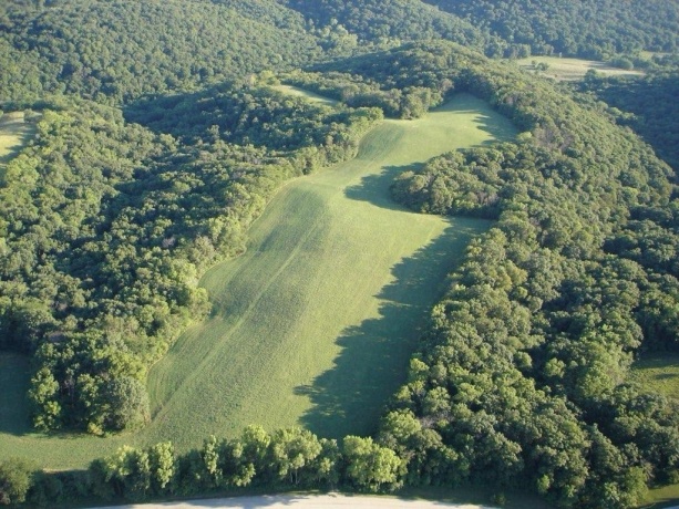 TBD Chestnut Mountain, HANOVER, Illinois 61041, ,Land,For Sale,Chestnut Mountain,202507482