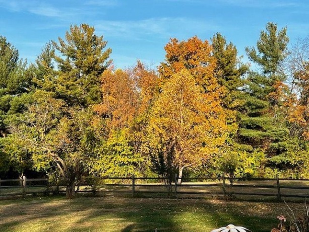 5176 Stephenson Street Road, FREEPORT, Illinois 61032, 3 Bedrooms Bedrooms, ,2 BathroomsBathrooms,House,For Sale,Stephenson Street Road,202507485