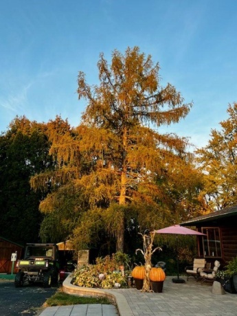 5176 Stephenson Street Road, FREEPORT, Illinois 61032, 3 Bedrooms Bedrooms, ,2 BathroomsBathrooms,House,For Sale,Stephenson Street Road,202507485